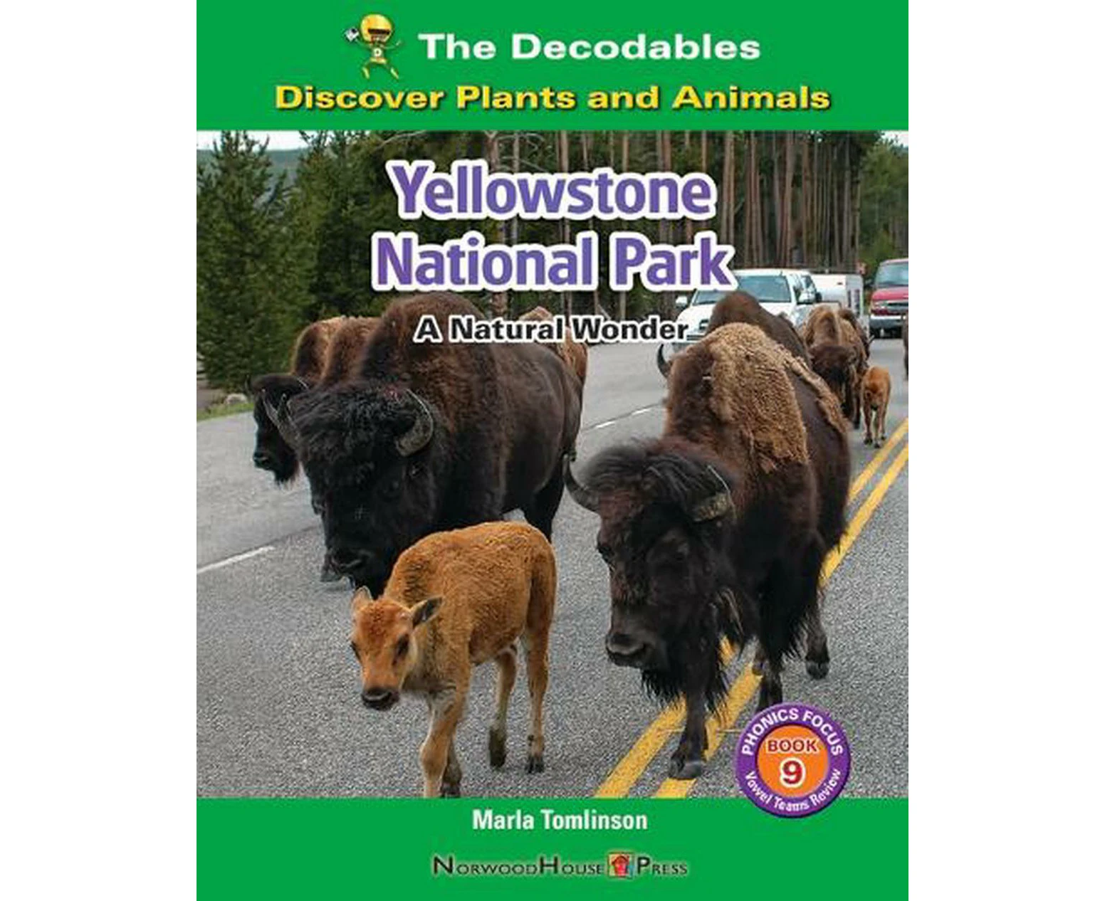 Yellowstone National Park: A Natural Wonder