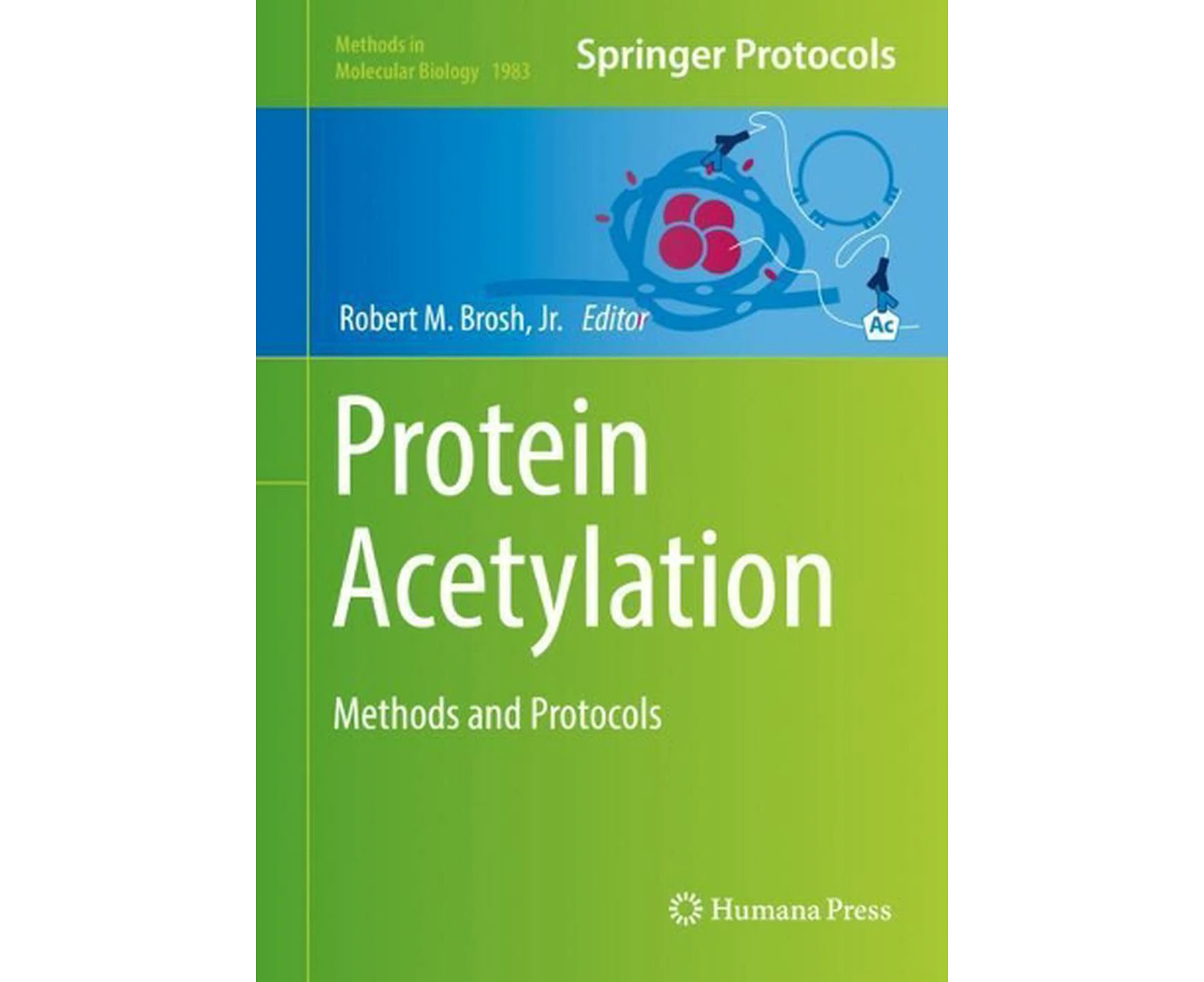 Protein Acetylation