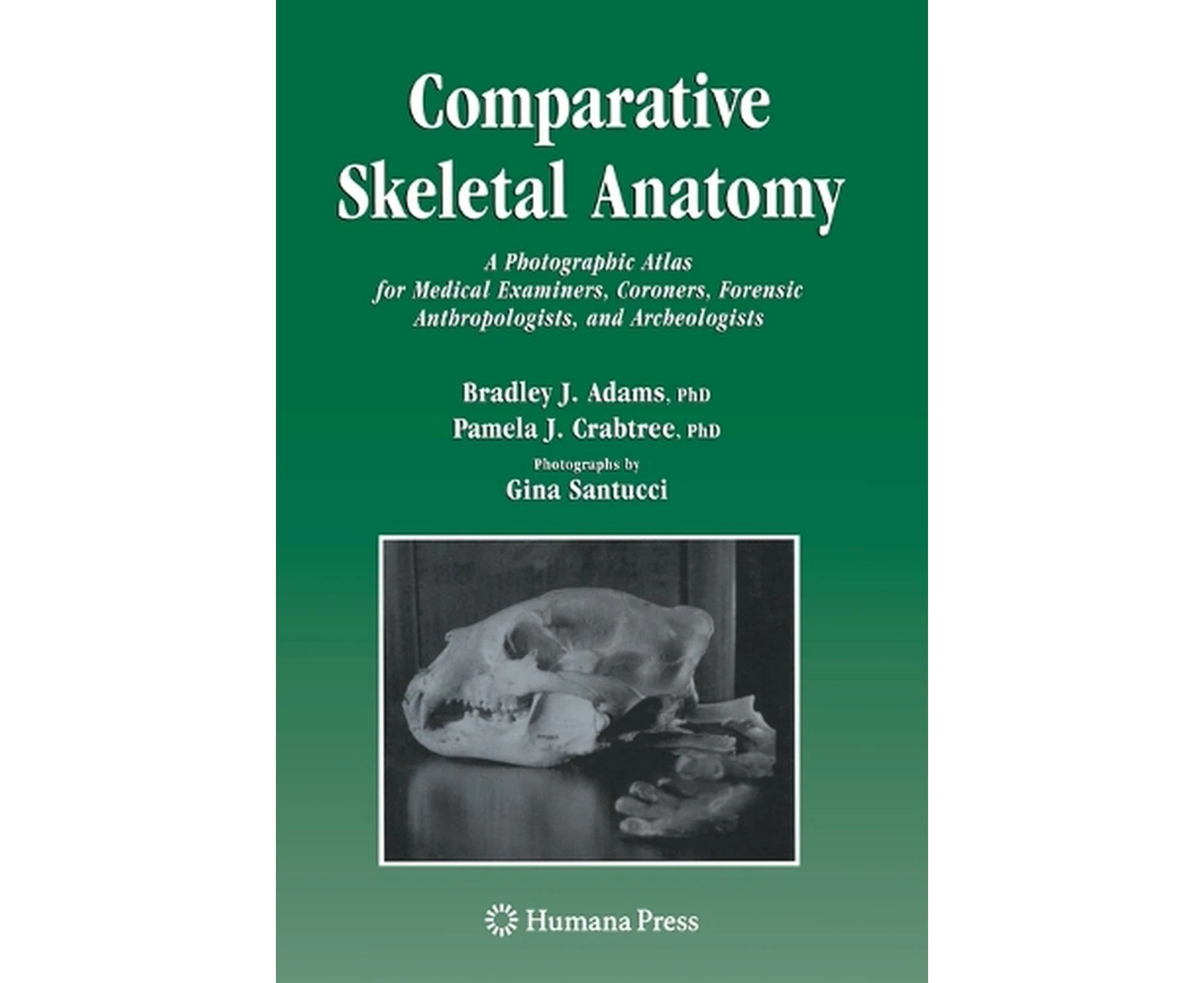 Comparative Skeletal Anatomy