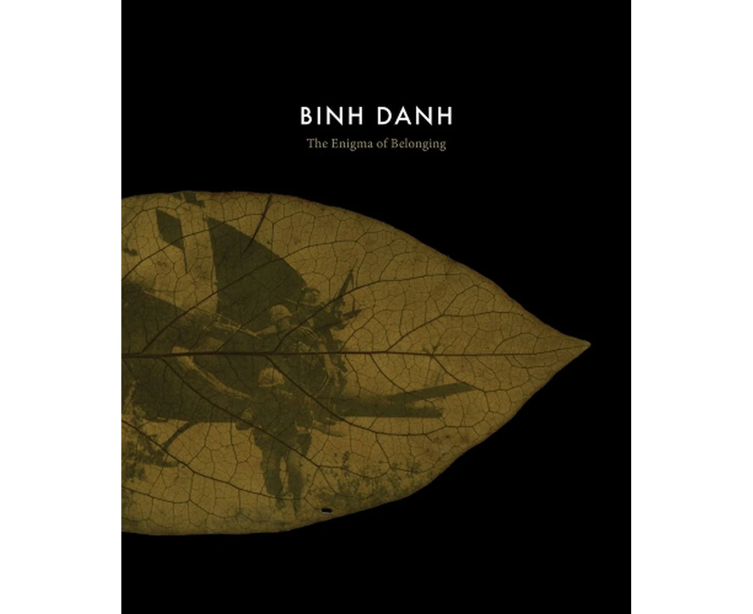 Binh Danh: The Enigma of Belonging