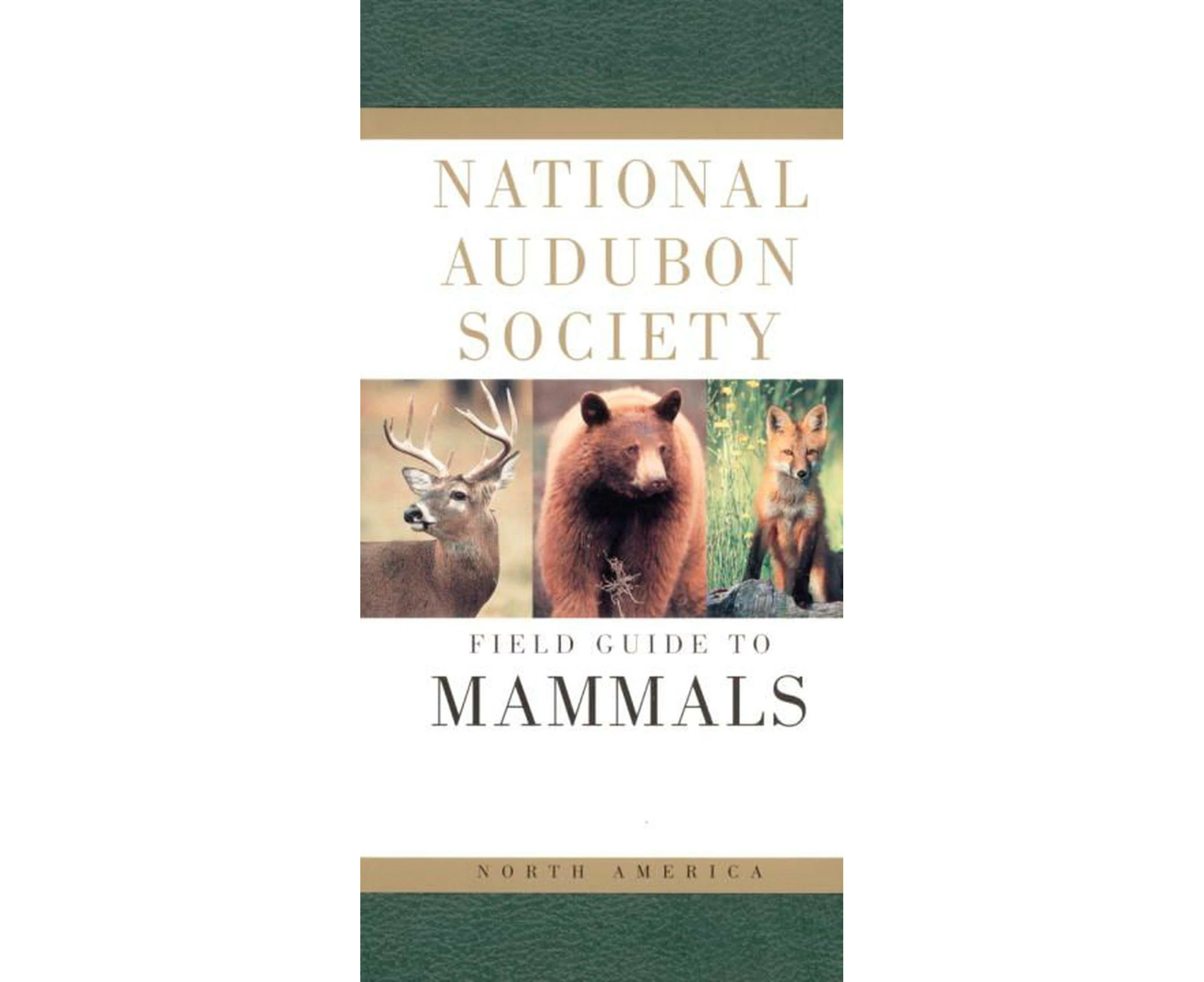 National Audubon Society Field Guide to North American Mammals