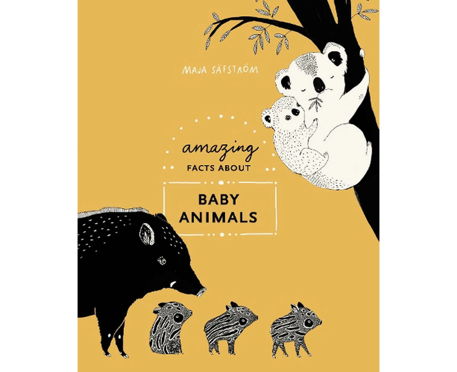 Amazing Facts About Baby Animals