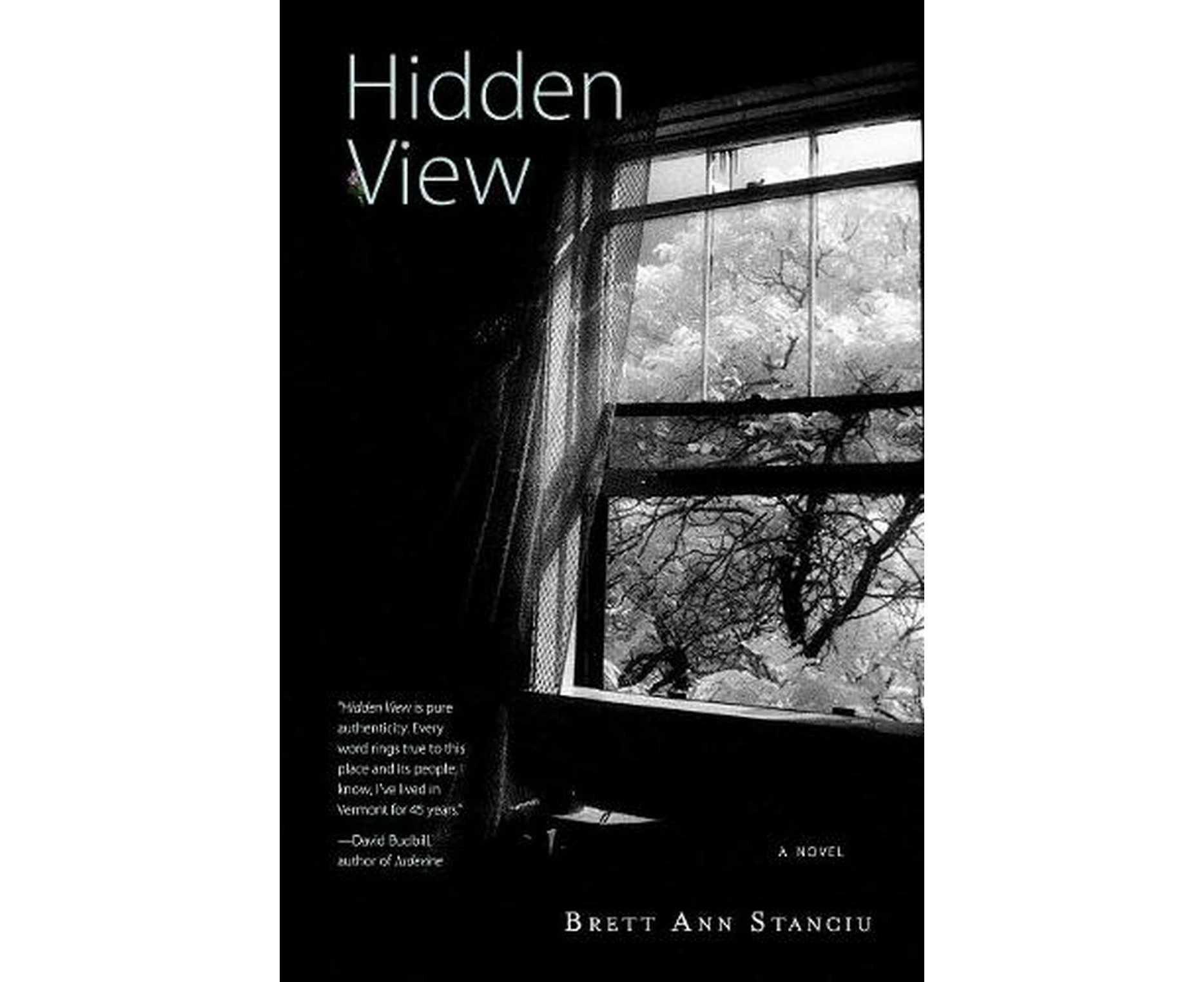Hidden View