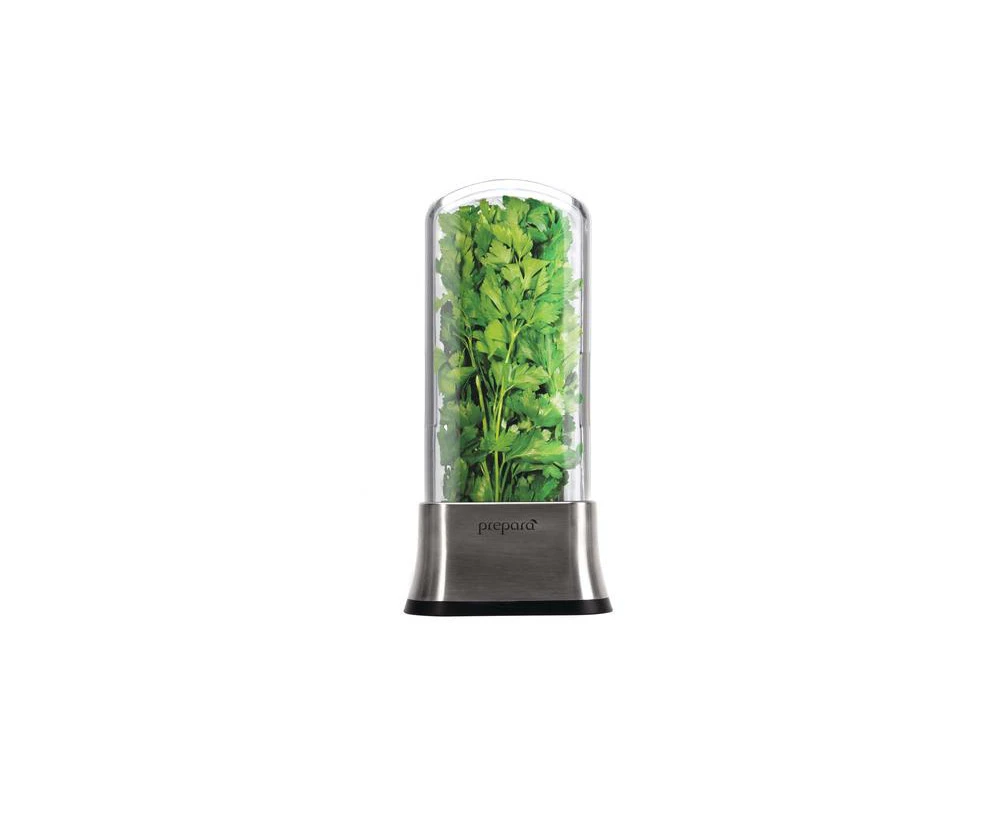 Stainless Steel Herb Savor Container - 27.17x15.74xcm