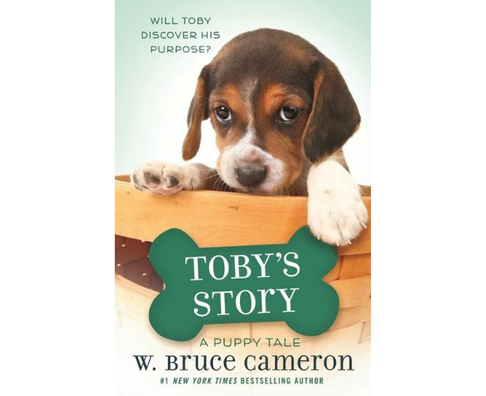 Toby's Story