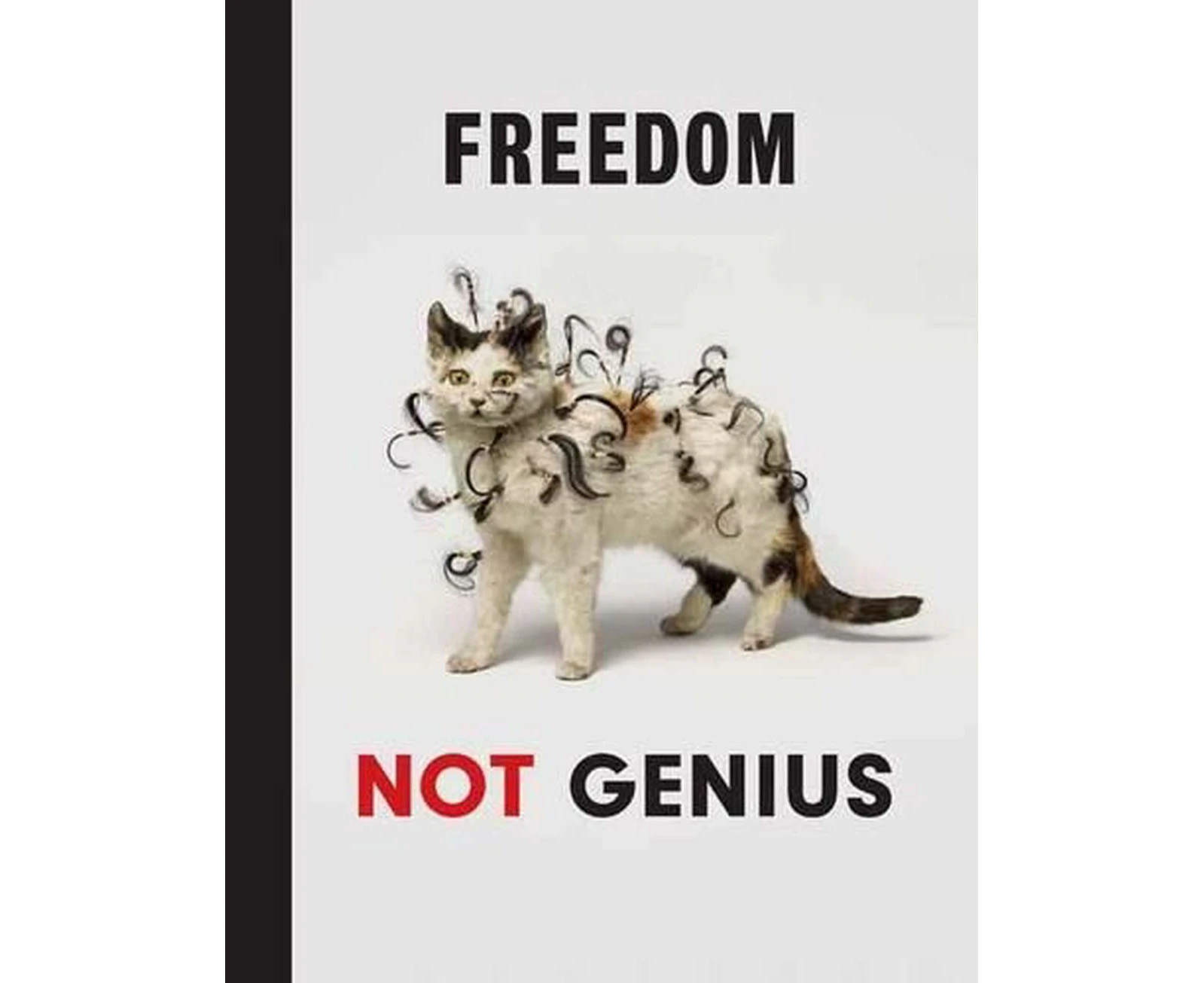 Damien Hirst: Freedom Not Genius