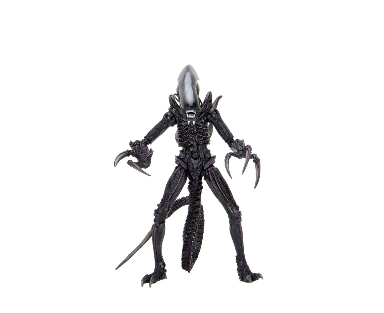 Neca Alien Vs Predator Razor Claws 7'' Scale Action Figure Play Doll Toy 17+