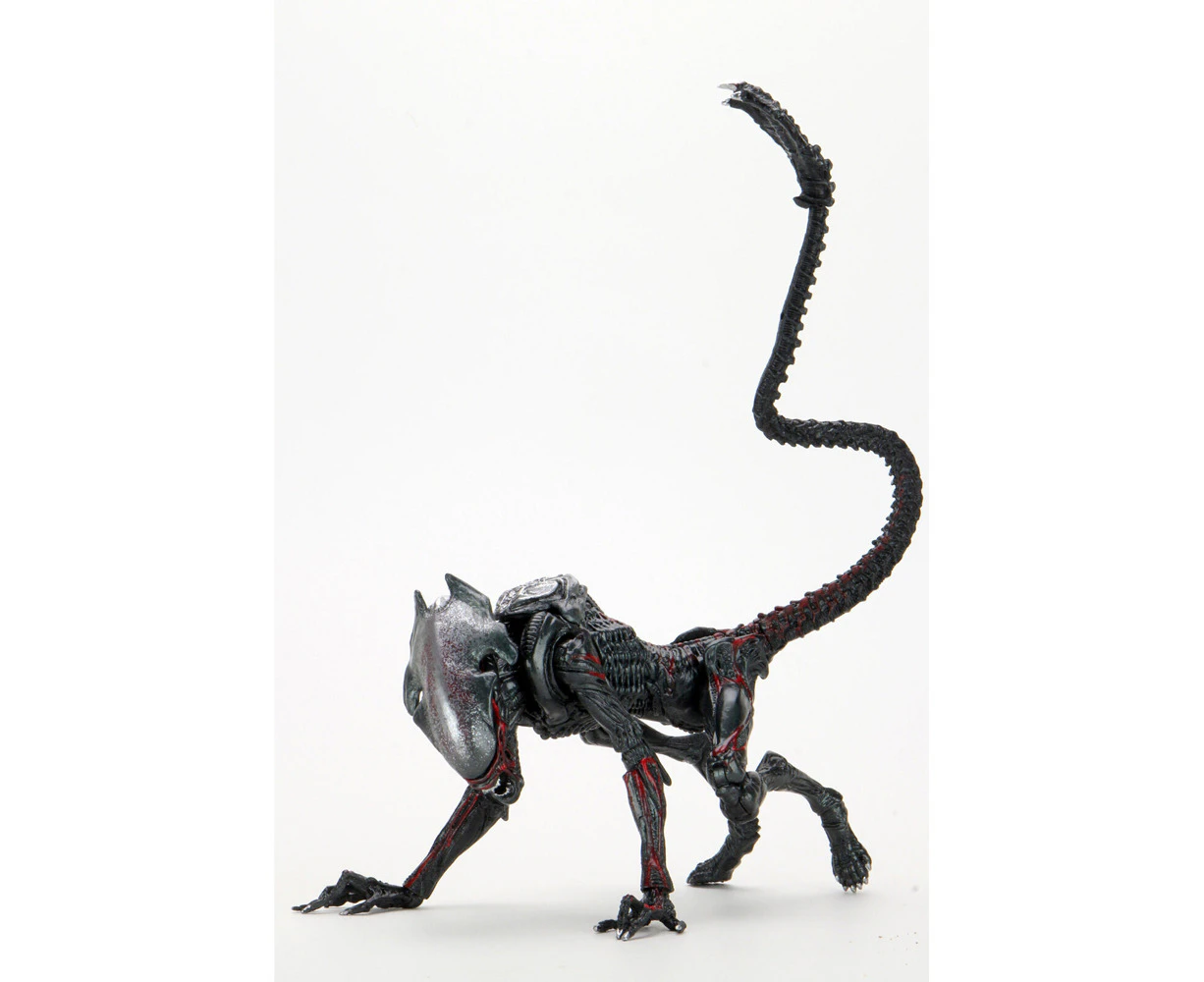 Neca Aliens Night Cougar Kenner Tribute 7'' Scale Action Figure Play Toy 17+