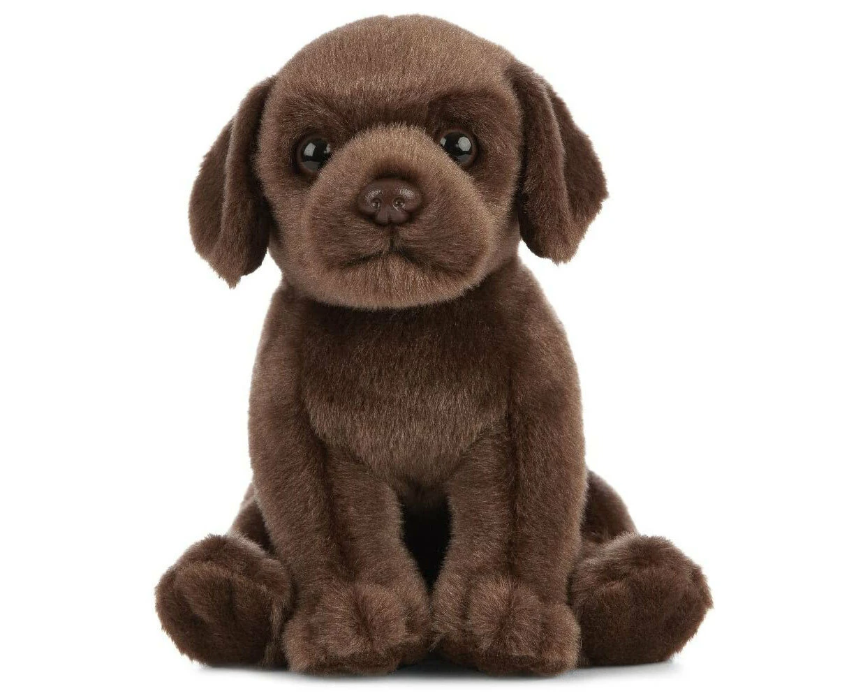 Living Nature Chocolate Labrador Puppy 16cm Stuffed Animals Toy Baby/Infant 0m+