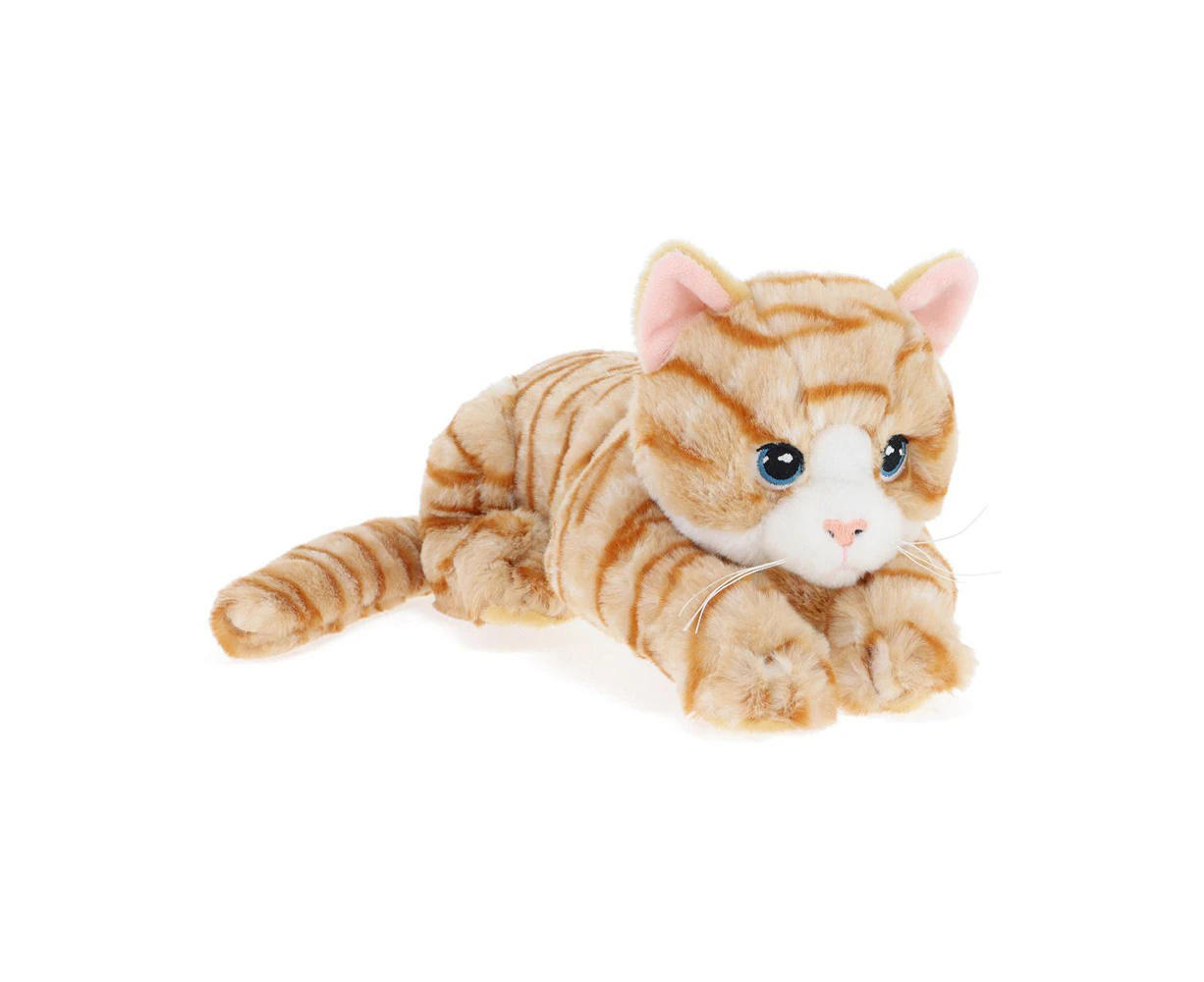 Keeleco 30cm Kittens Animal Stuffed Plush Kids/Children Assorted Cuddle Toy 0m+