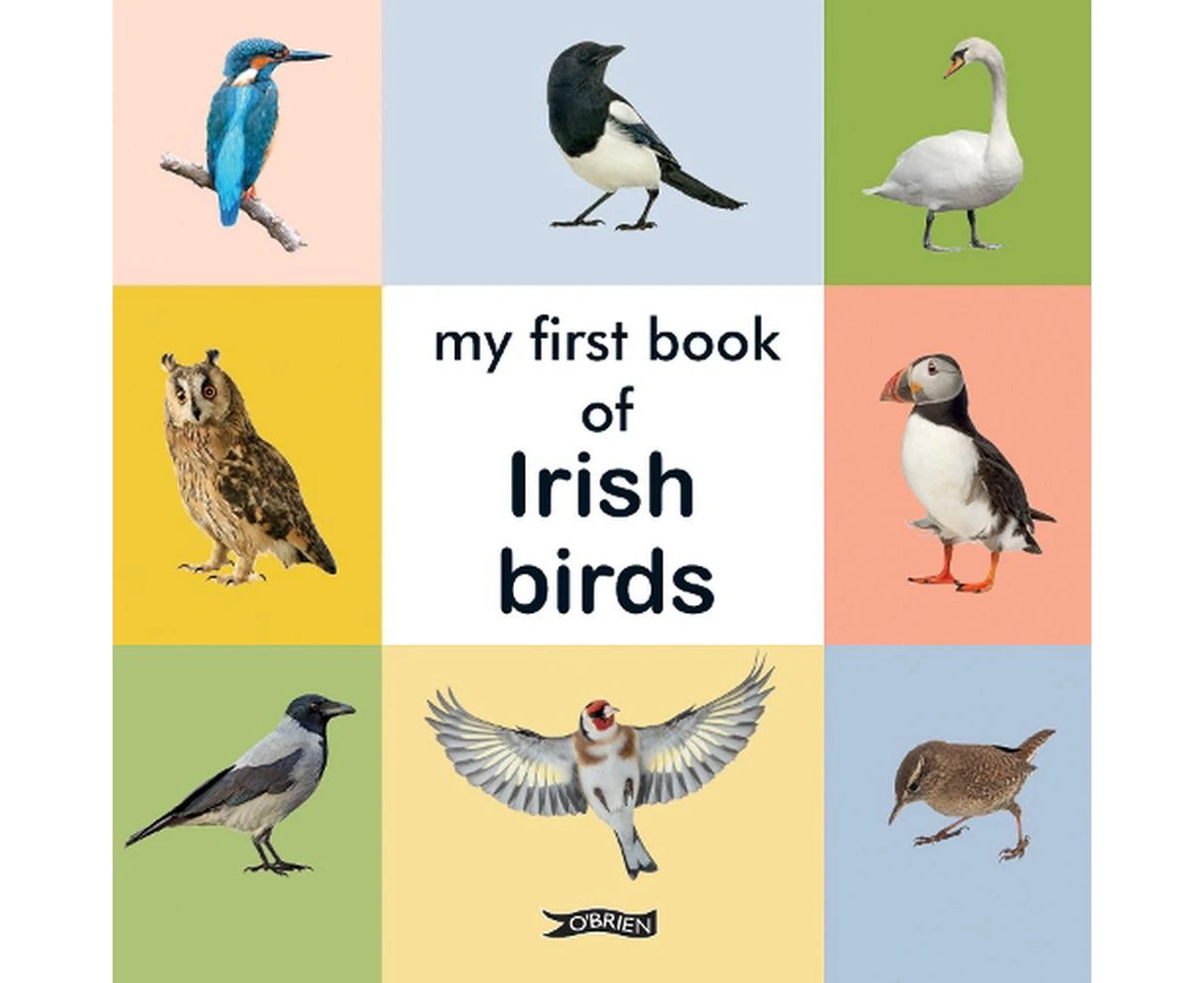 My First Book of Irish Birds