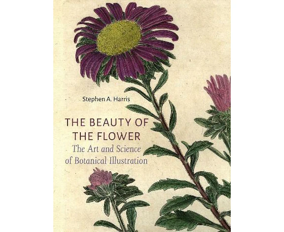 Beauty of the Flower, The: The Art and Science of Botanical Illustration