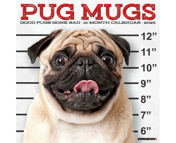 2025 Pug Mugs Wall Calendar