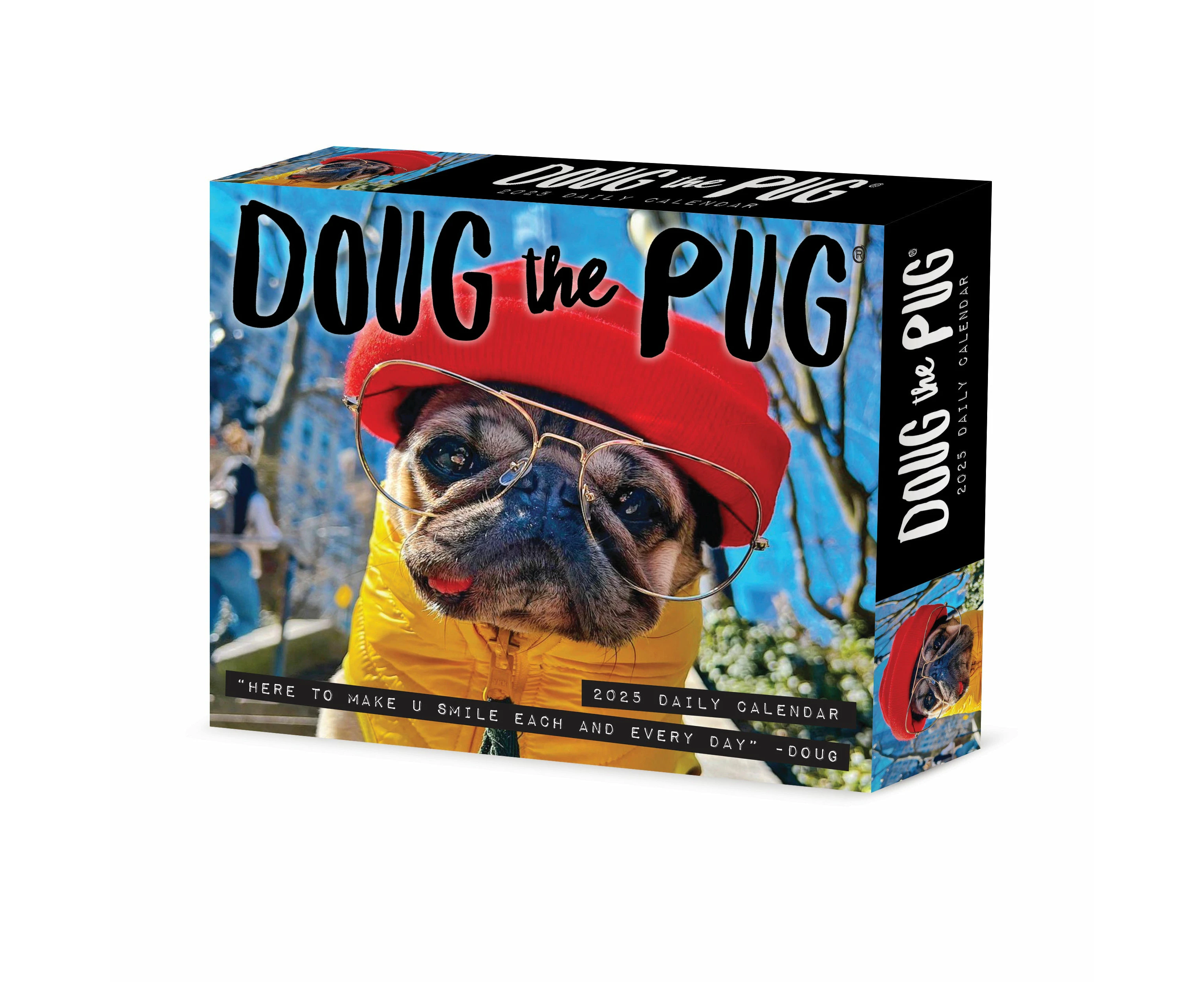 2025 Doug the Pug Page-A-Day Calendar