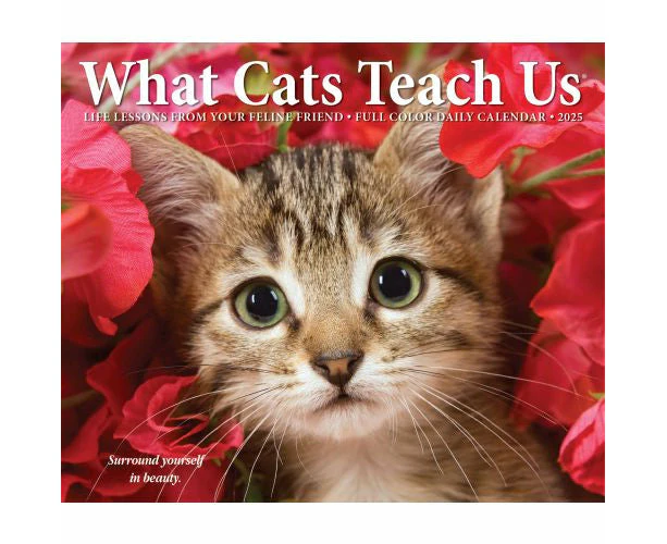 2025 What Cats Teach Us Page-A-Day Calendar