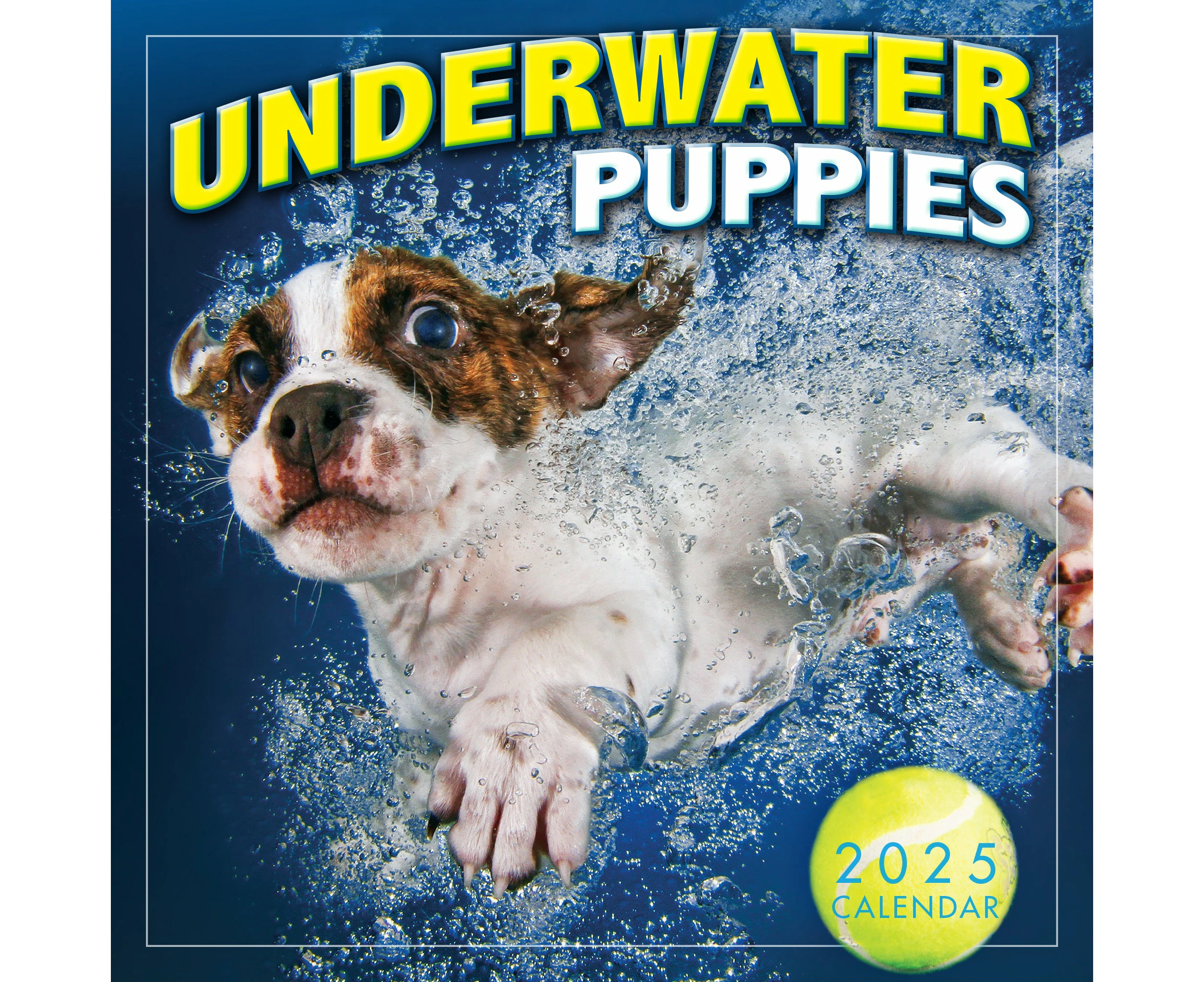 2025 Underwater Puppies by Seth Casteel Mini Wall Calendar