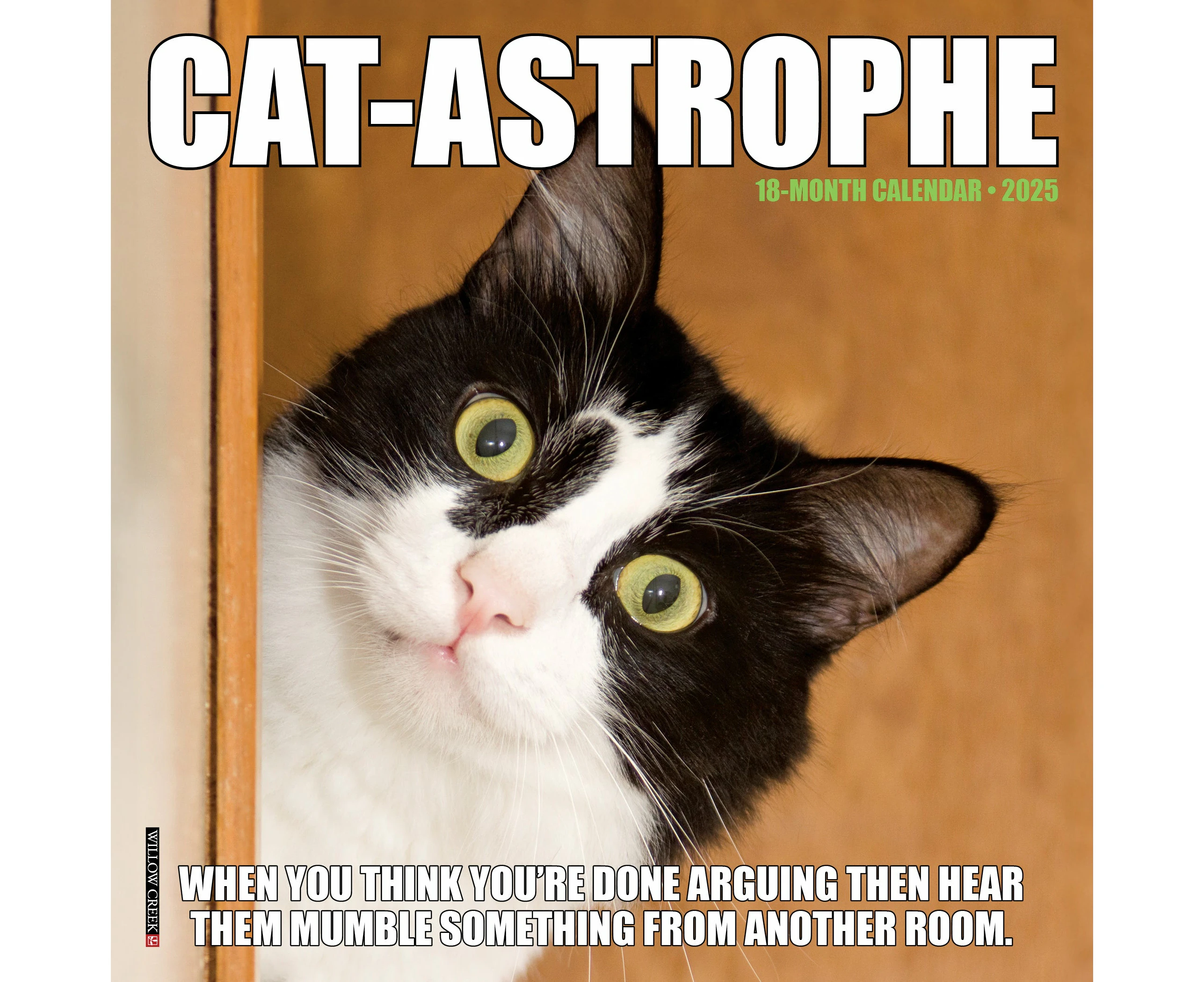 2025 Cat-astrophe Mini Wall Calendar