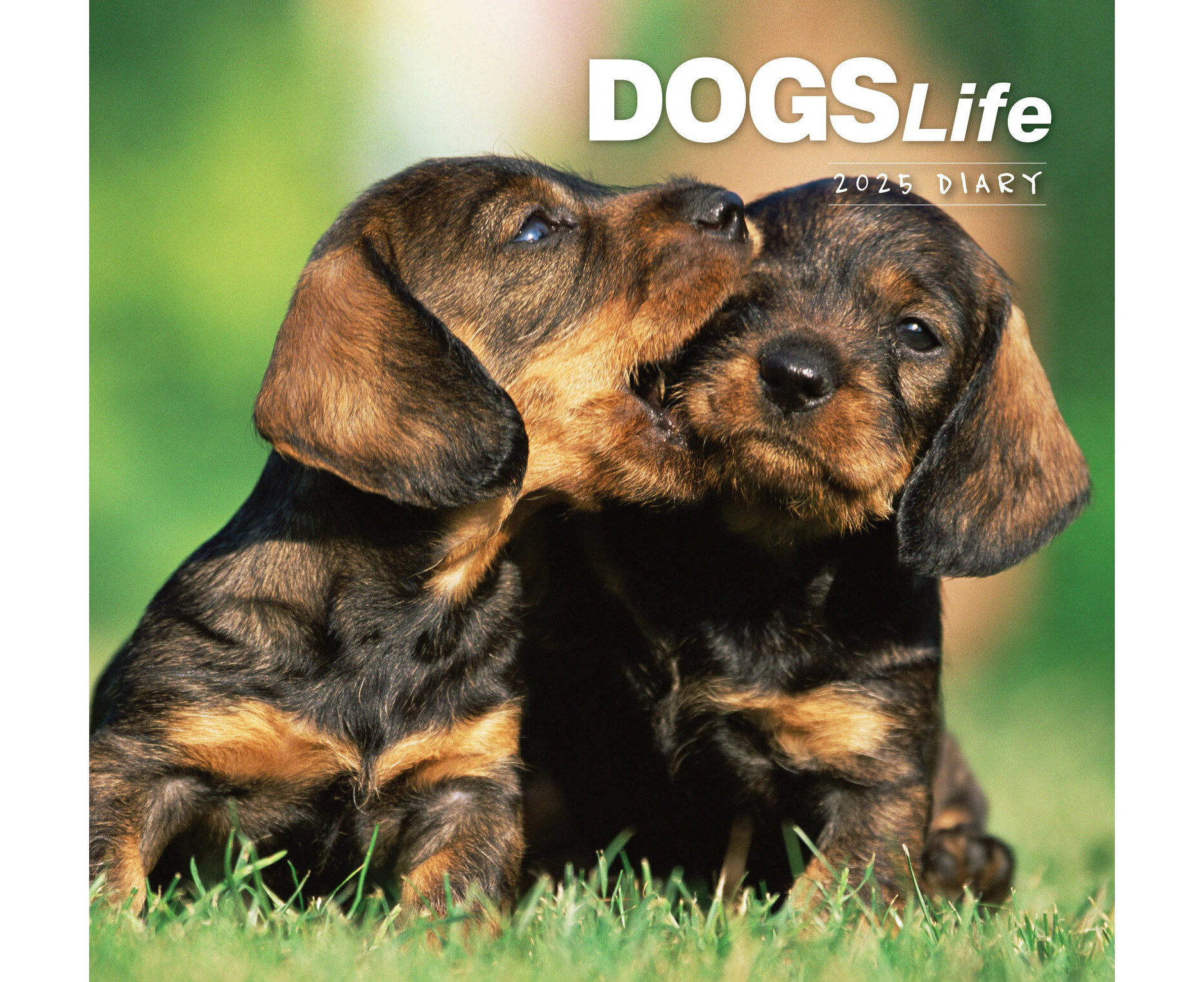 2025 Diary Dogs Life Week to View by Paper Pocket