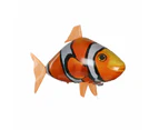 Inflatable Remote Controlled Flying Fish Toy - Battery Operated - Clown Fish