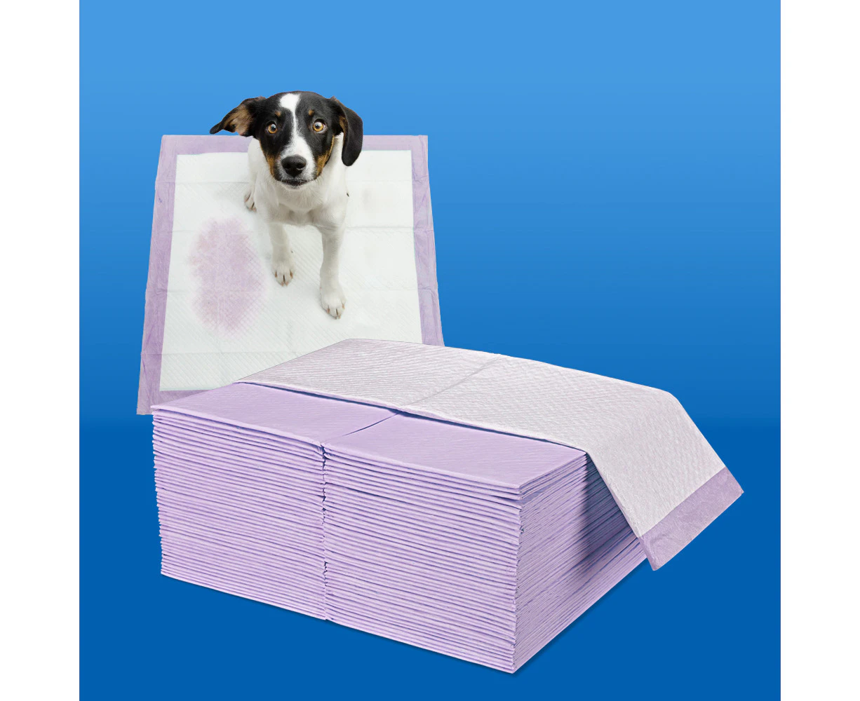 Taily Pet Training Pads 200pcs, 60x60CM Disposable Dog Pee Pads for Puppies, Dogs, Cats, Lavender