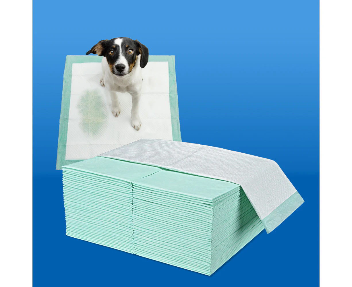 Taily Pet Training Pads 200pcs, 60x60CM Disposable Dog Pee Pads for Puppies, Dogs, Cats, Meadow