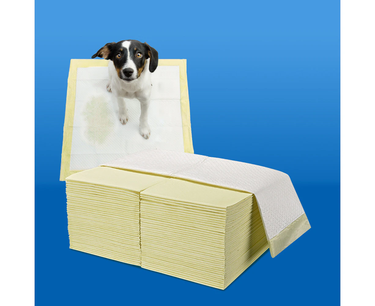 Taily Pet Training Pads 400pcs, 60x60CM Disposable Dog Pee Pads for Puppies, Dogs, Cats, Lemon