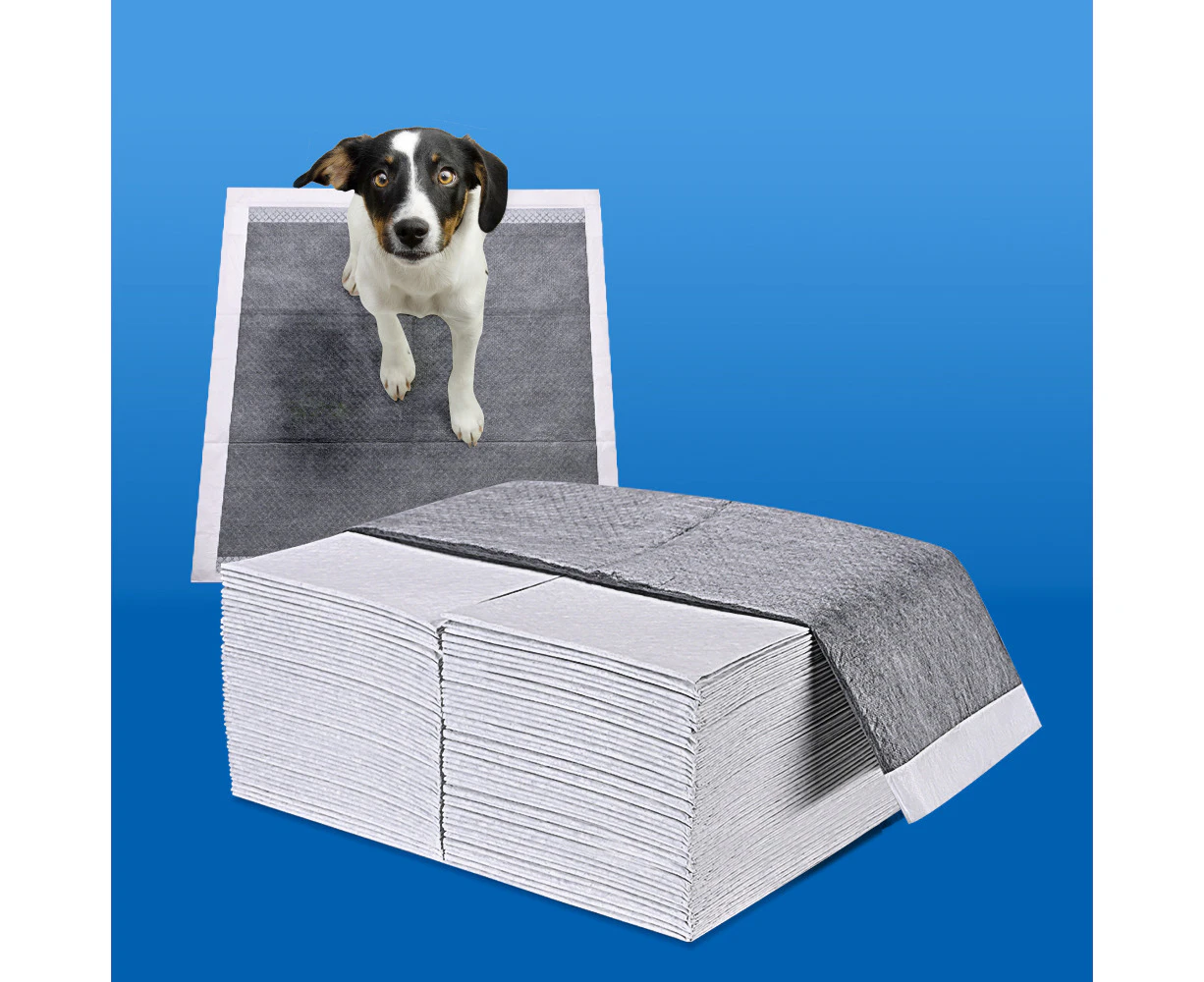 Taily Pet Training Pads 400pcs, 60x60CM Disposable Dog Pee Pads for Puppies, Dogs, Cats, Charcoal