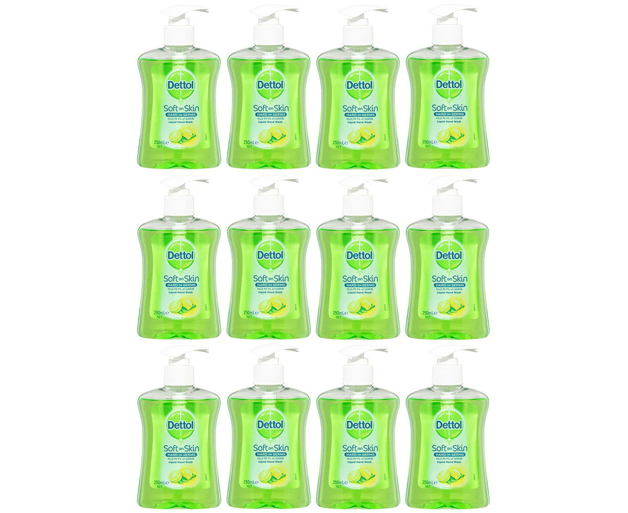 12x Dettol 250ml Liquid Home Hand Care Wash Soap Lemon/Lime Pump