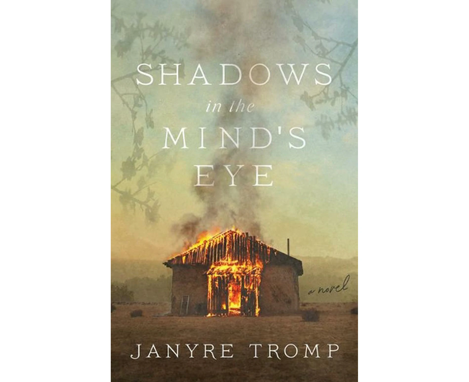 Shadows in the Mind`s Eye  A Novel