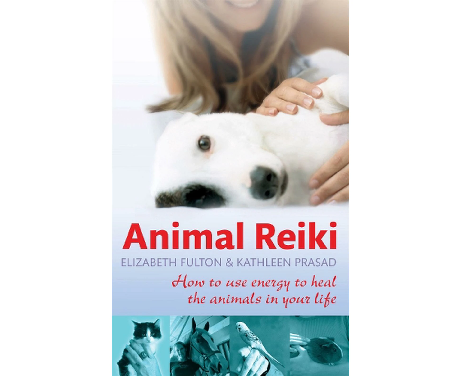 Animal Reiki: How to use energy to heal the animals in your life