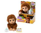 Little Live Pets My Baby Monkey Plush Toy