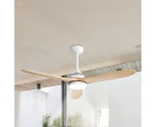 Spector 52'' Ceiling Fan LED Light DC Motor Remote Control 5 Speed Wooden Blade