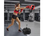 Centra Boxing Punching Bag Speed Ball Free Standing Reflect Reaction Training