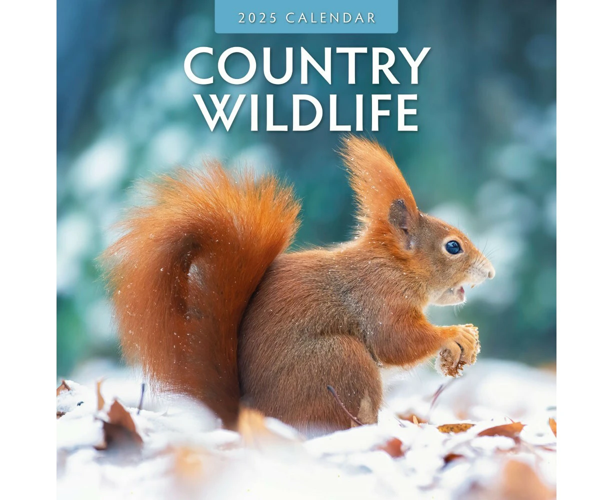 Country Wildlife - 2025 Square Wall Calendar 16 month by Red Robin