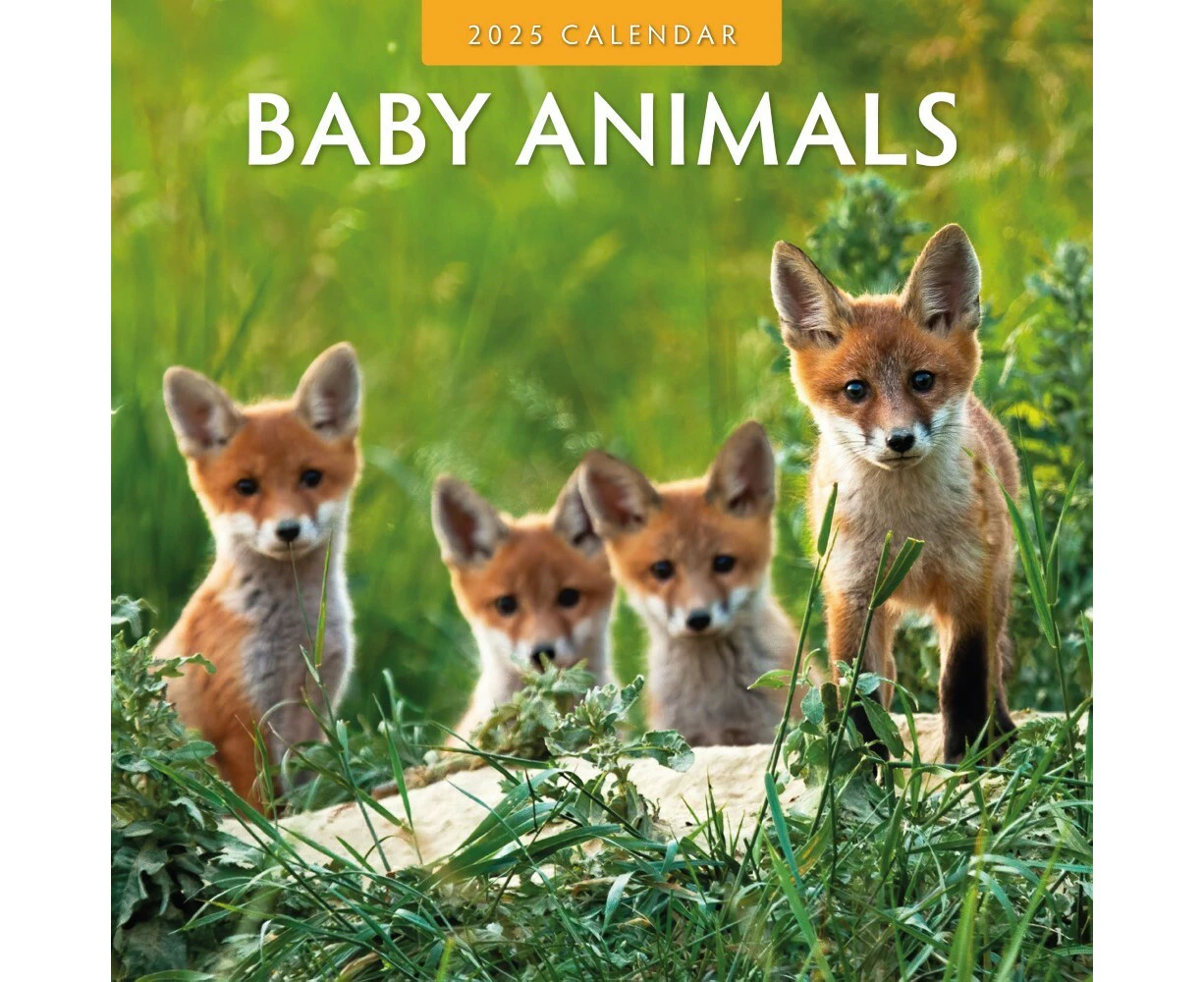 Baby Animals - 2025 Square Wall Calendar 16 month by Red Robin