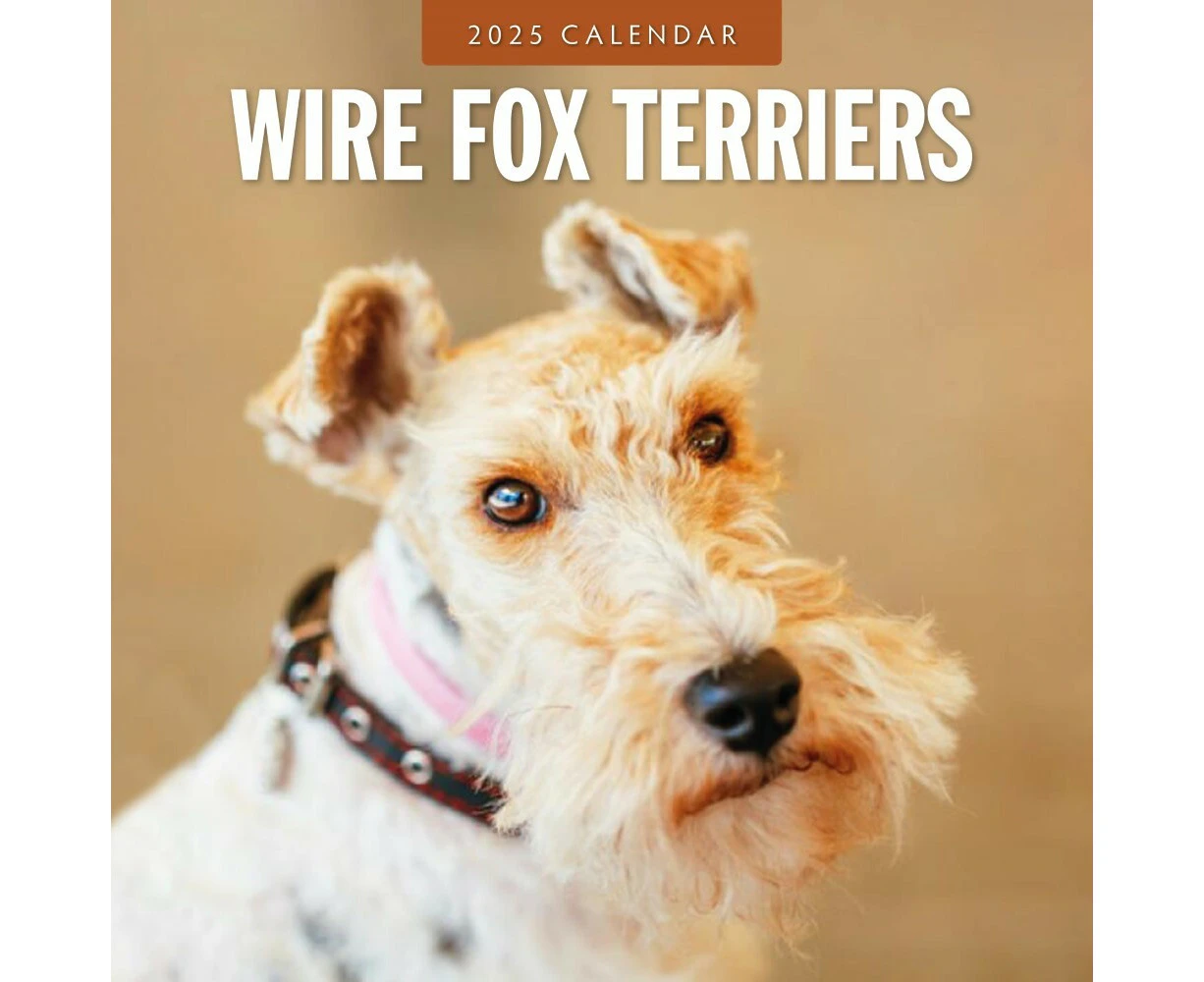 Wire Fox Terriers - 2025 Square Wall Calendar 16 month by Red Robin