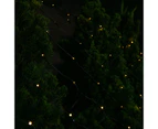 Stockholm 2.5x1.3M Christmas Lights 150 LED String Lights Solar Star Net Warm White Outdoor Garden