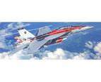 F/A-18F U.S. Navy Special Colours 1/48 Scale