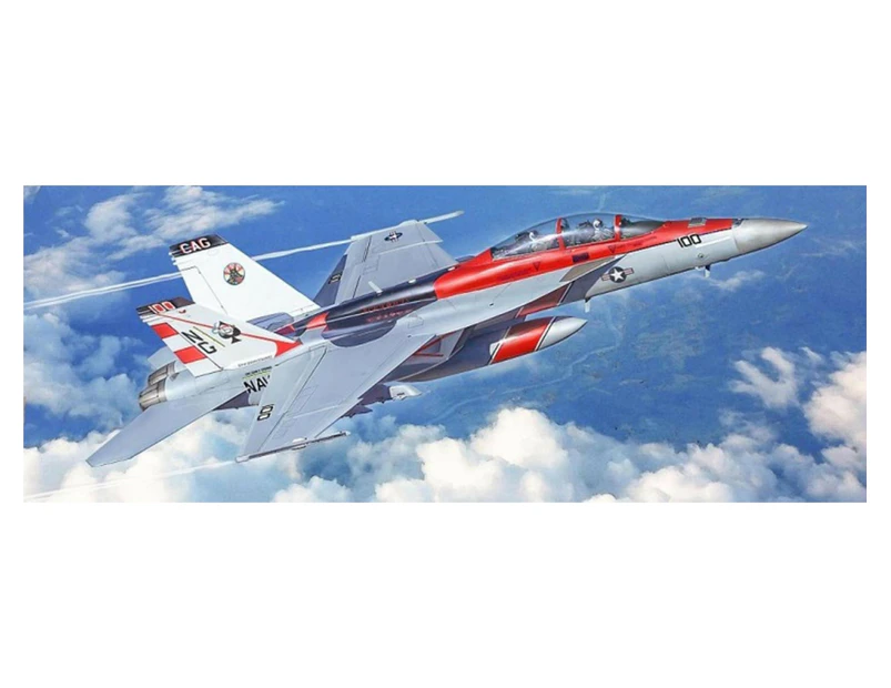 F/A-18F U.S. Navy Special Colours 1/48 Scale