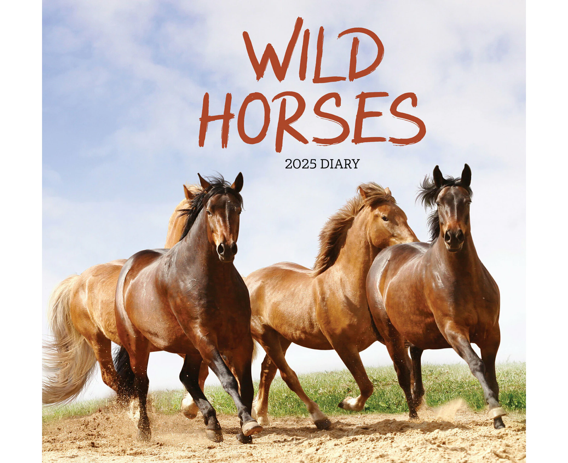 2025 Diary Wild Horses Week to View by Paper Pocket