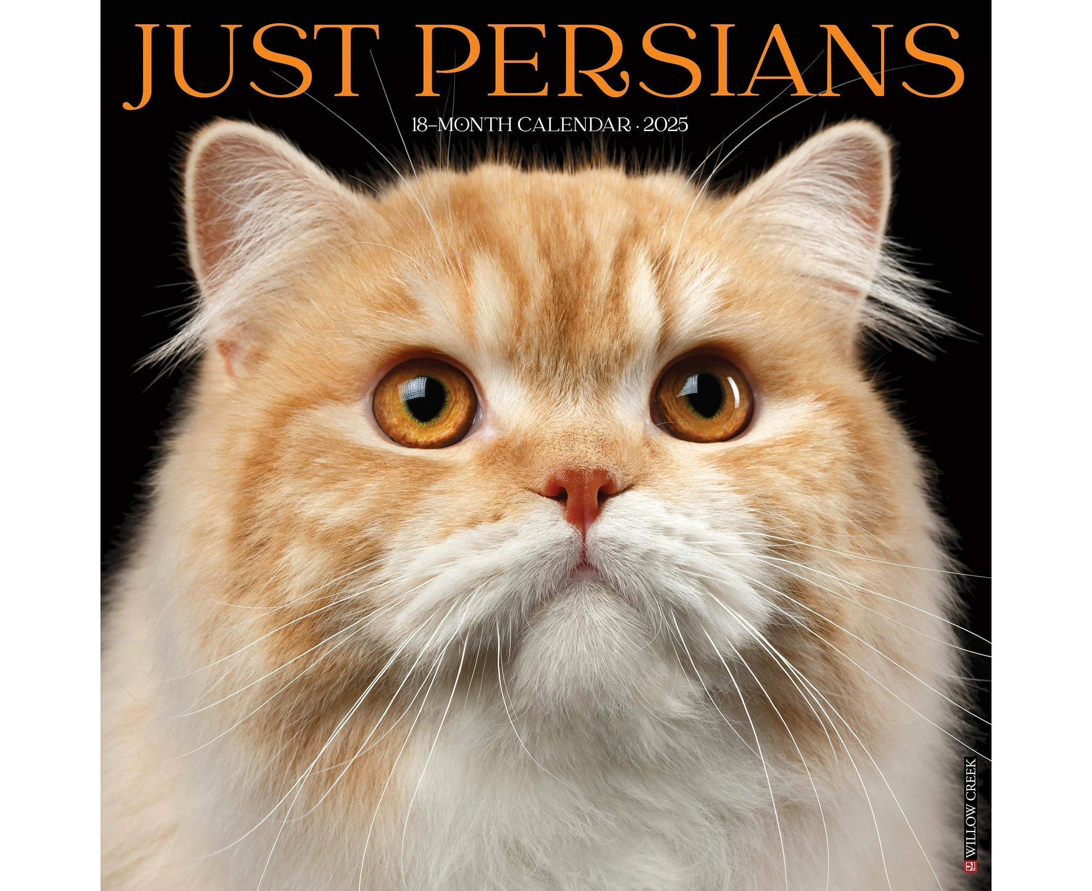 2025 Persians - Square Wall Calendar