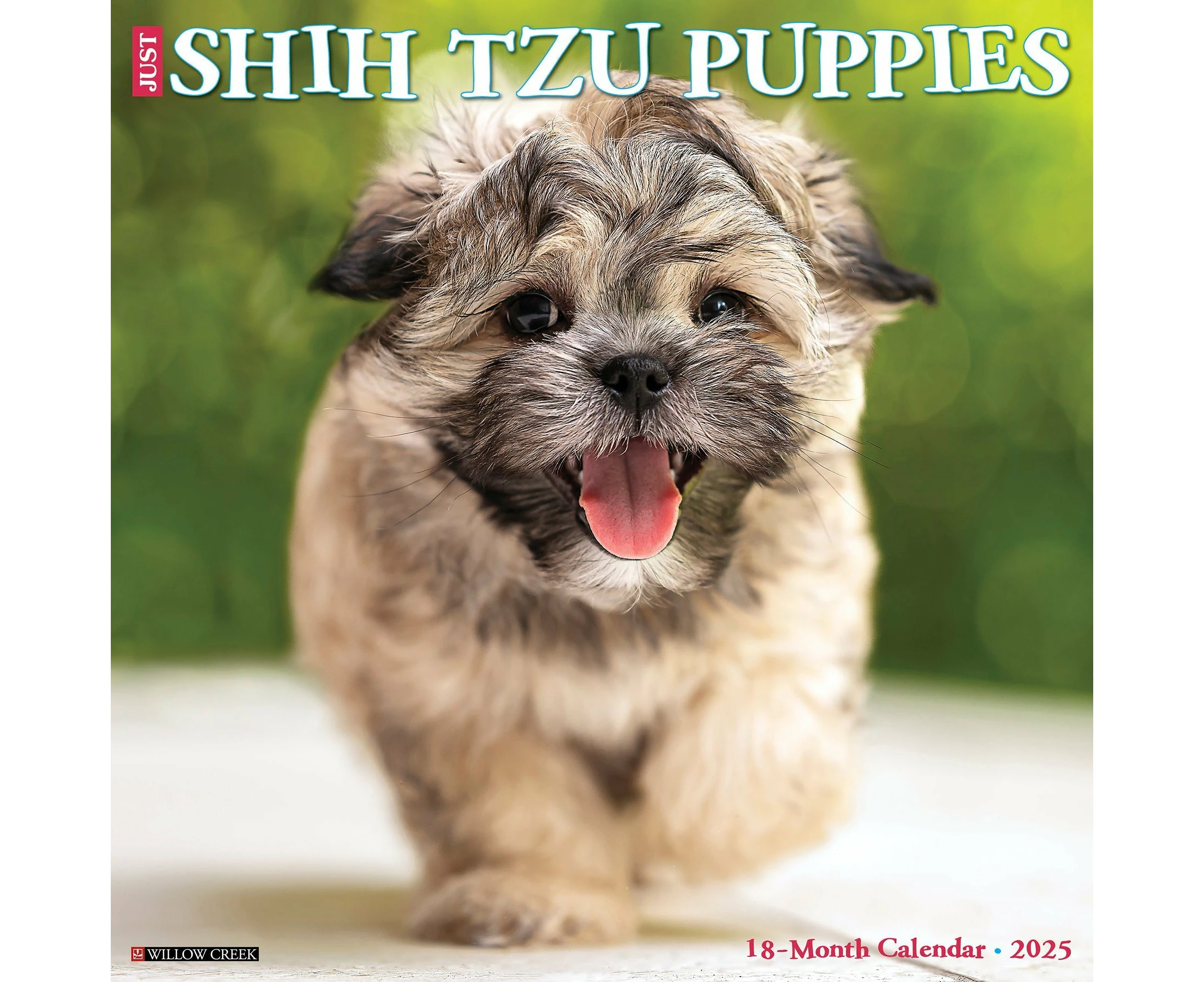 2025 Shih Tzu Puppies - Square Wall Calendar