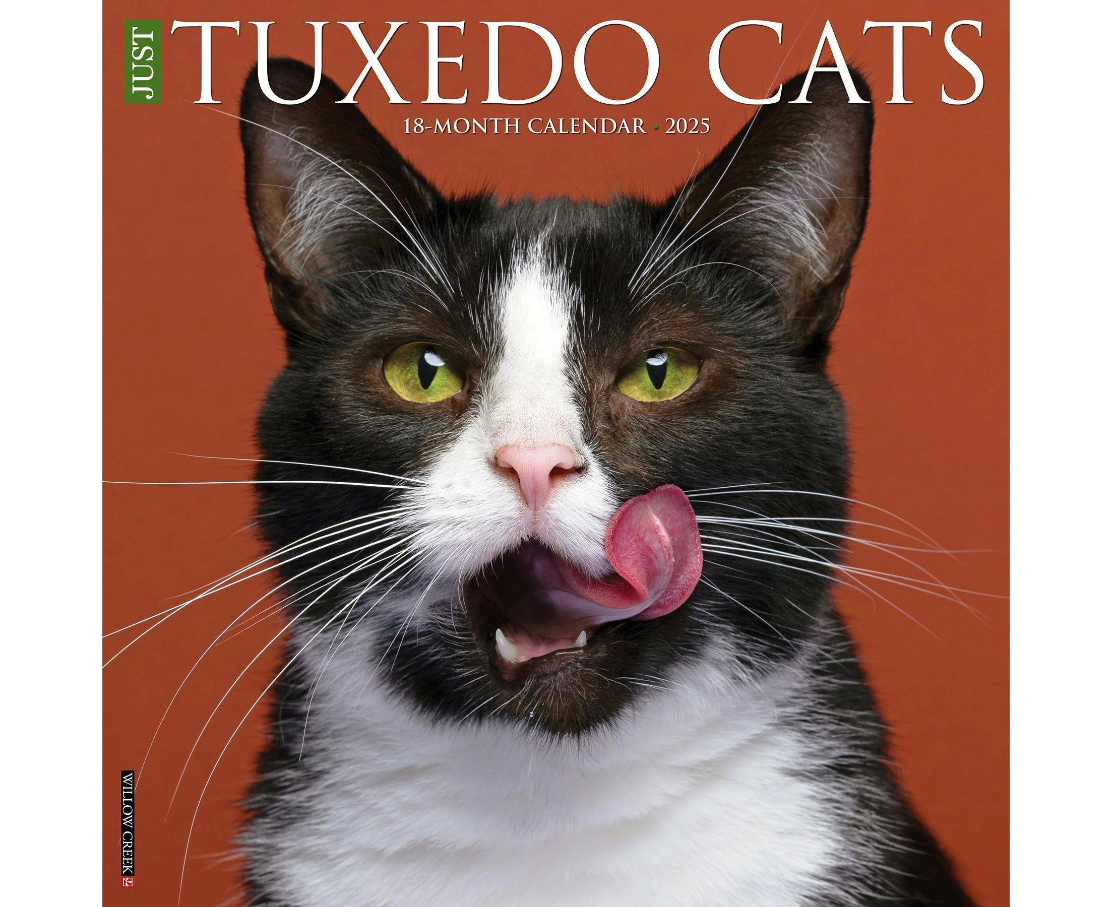 2025 Tuxedo Cats - Square Wall Calendar