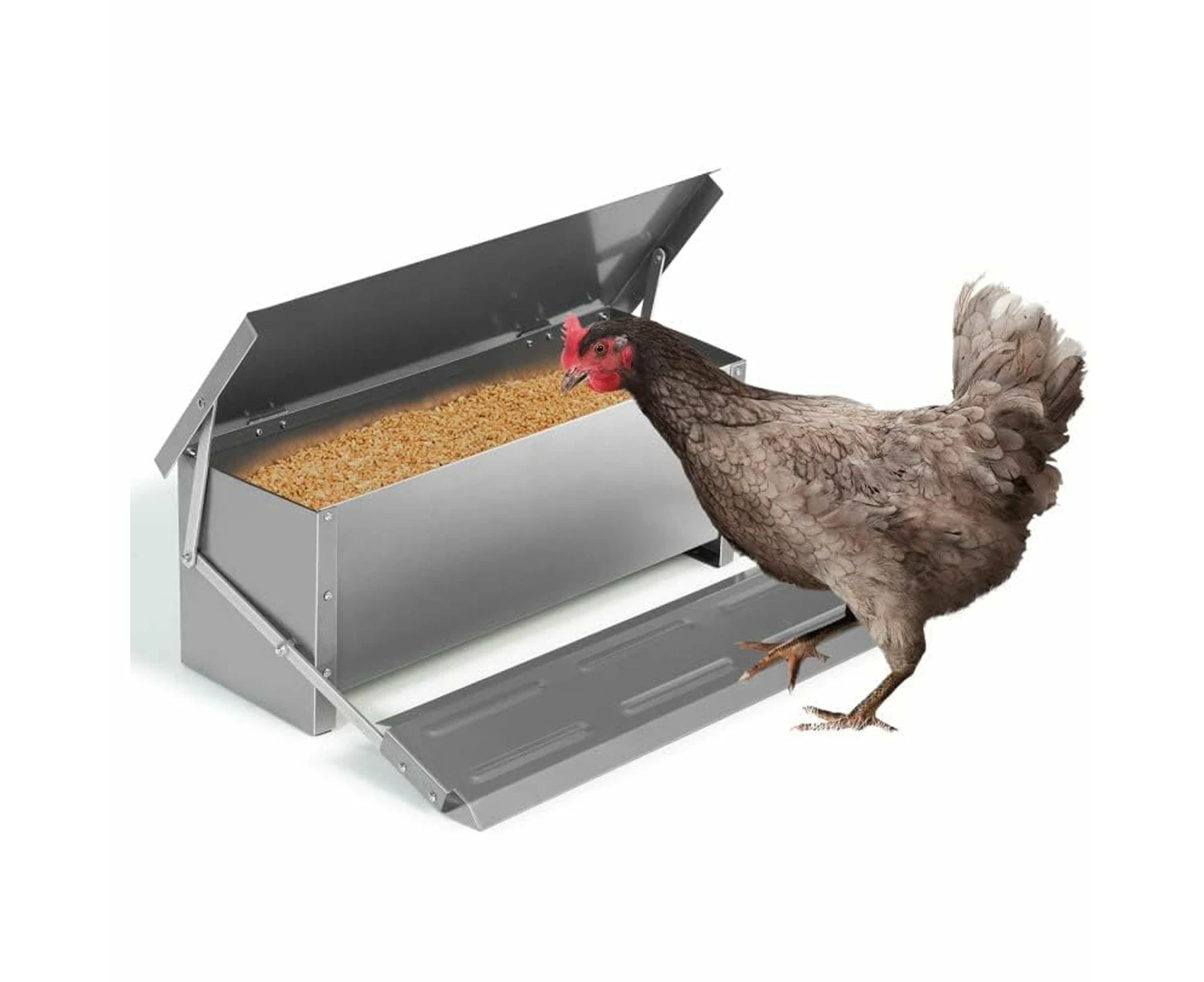 Galvanized Automatic Chicken Food Feeder - Large Capacity, Self-Opening