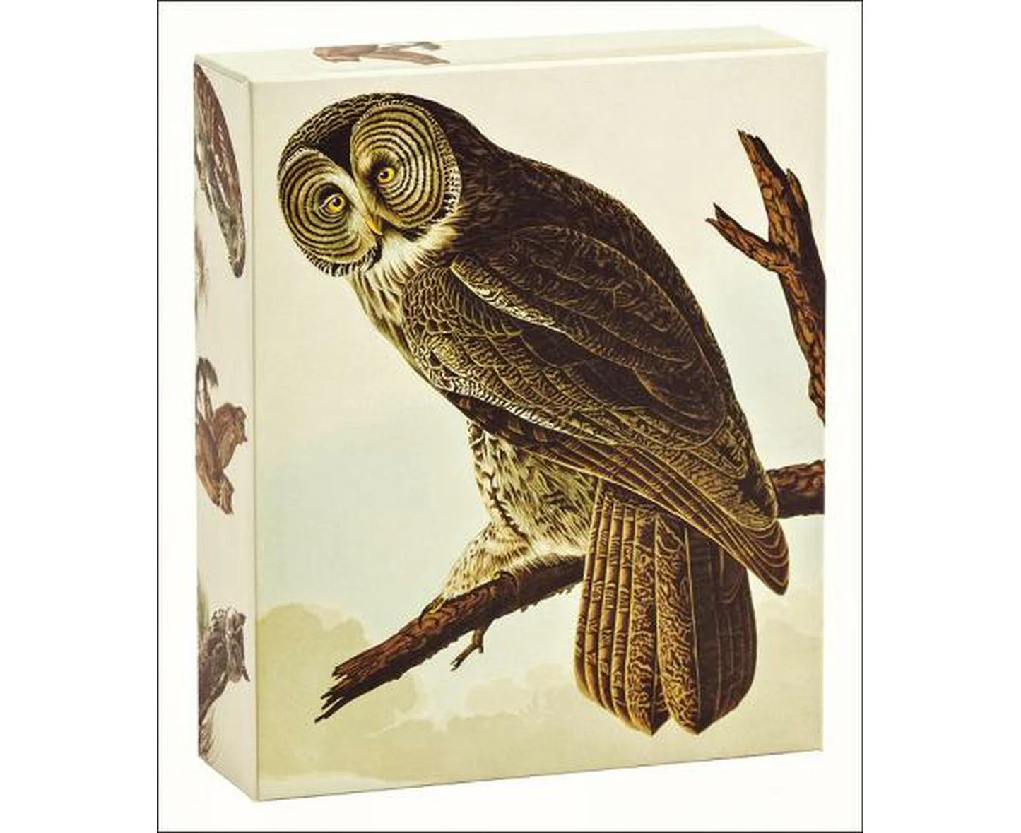 Audubon Owls QuickNotes