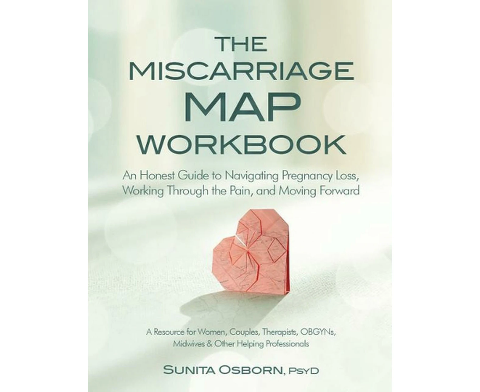 The Miscarriage Map Workbook