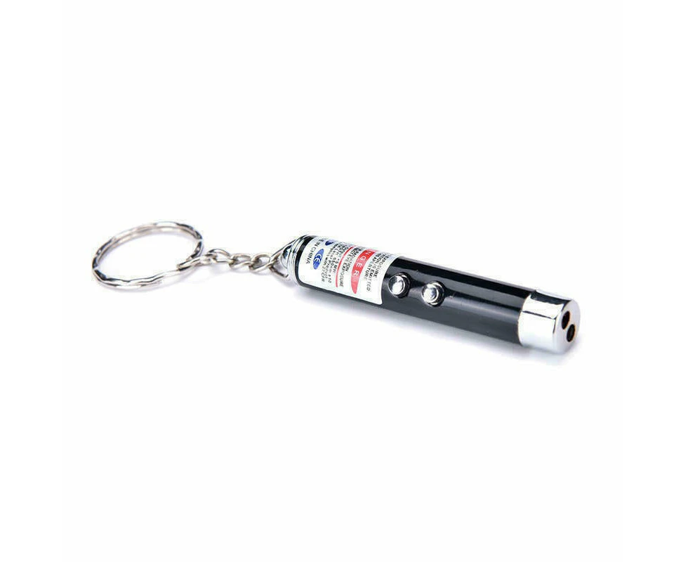 Pet Laser Light Pointer Torch Pen - Black