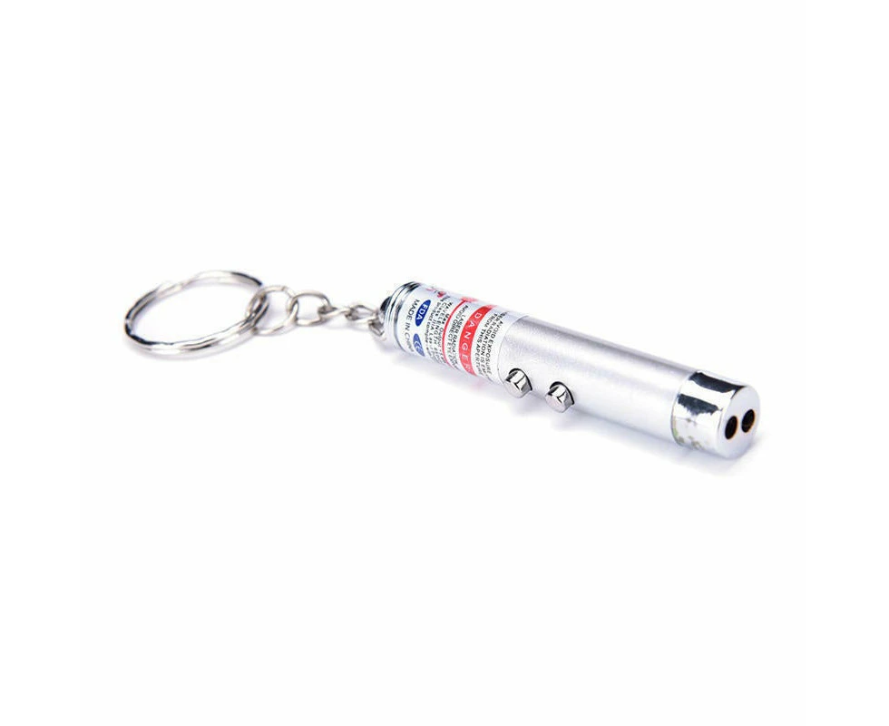 Pet Laser Light Pointer Torch Pen - Silver