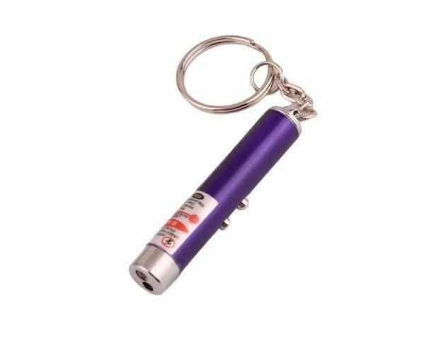 Pet Laser Light Pointer Torch Pen - Purple