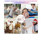 Mini Karaoke Machine, Karaoke Machine， Cute Karaoke with Microphone Set, Portable Bluetooth Speaker with Microphone, Retro Handheld